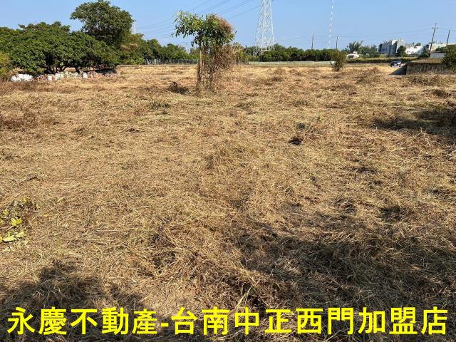 新化農地-10
