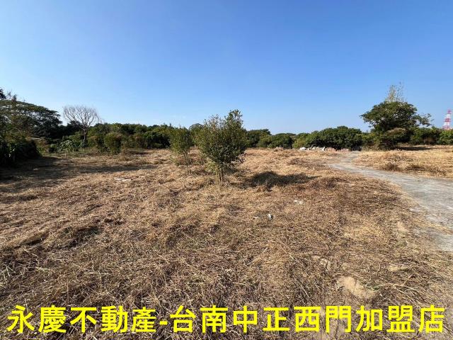 新化農地-11