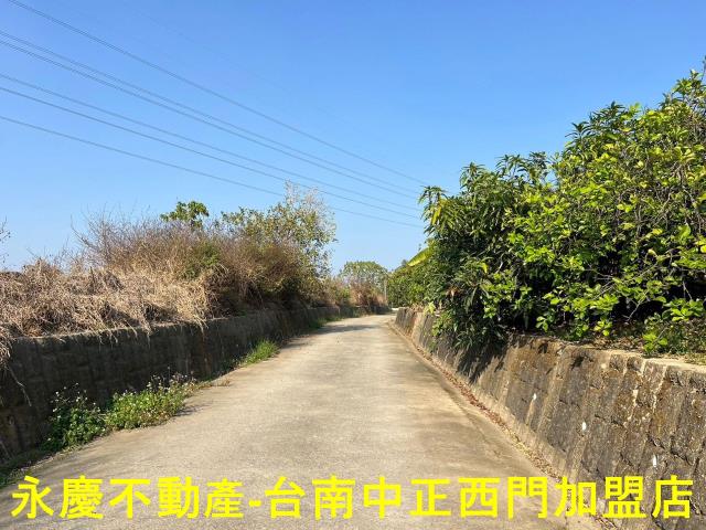 新化農地-2