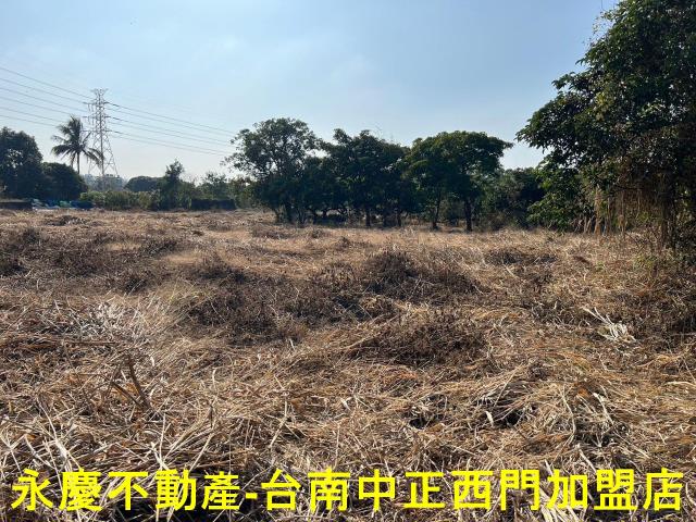 新化農地-5