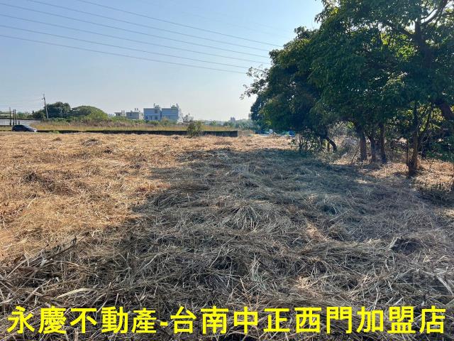 新化農地-7