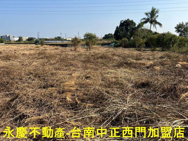 新化農地-8