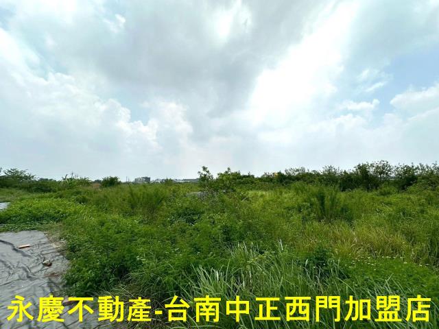 安南農地-10