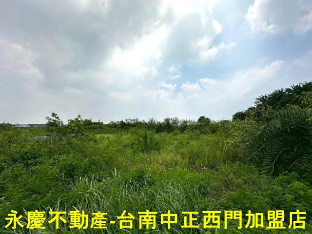 安南農地-11