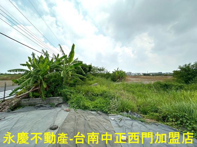 安南農地-6