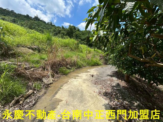 南化農地-10