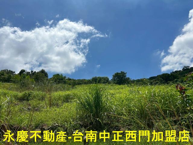 南化農地-11