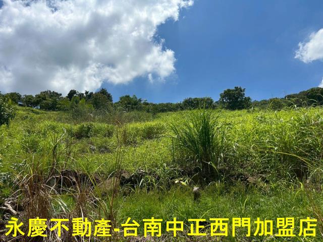 南化農地-4