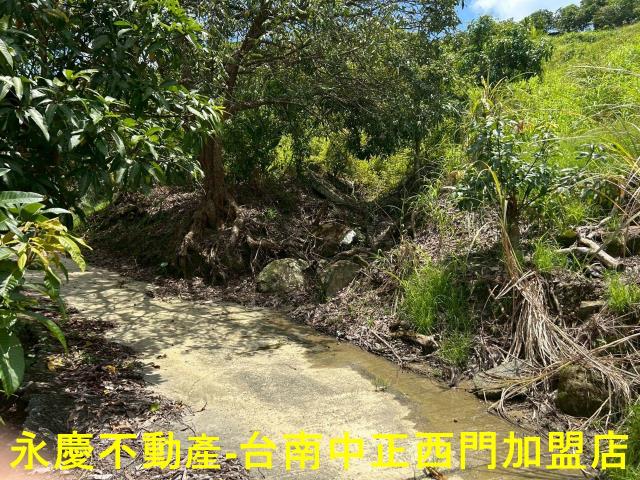 南化農地-6