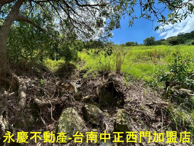 南化農地-8