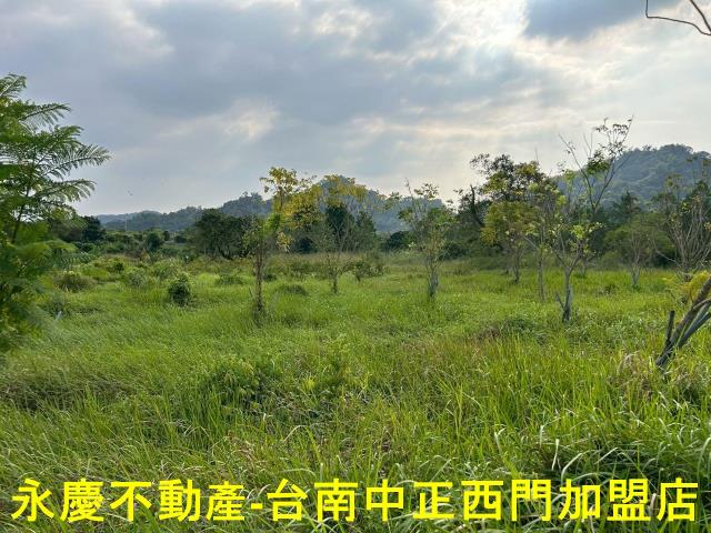 台南楠西農地-1