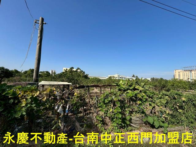 台南麻豆農地-9