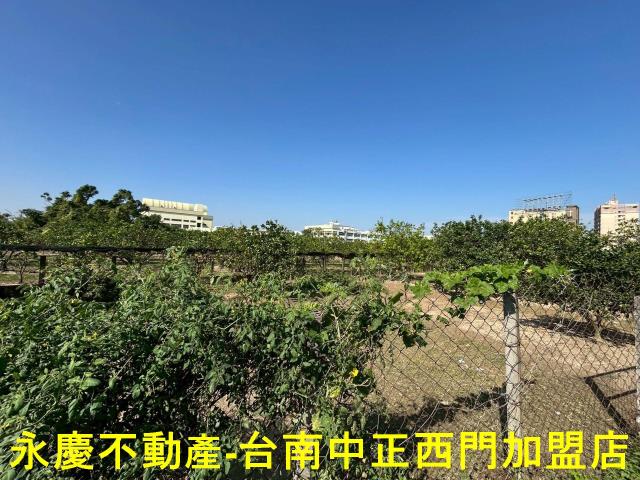 台南麻豆農地-7