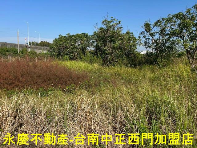 台南麻豆農地-7