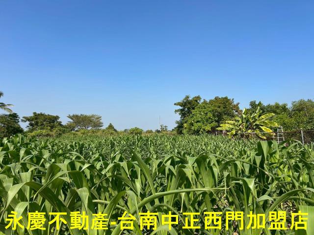 台南新化農地-5