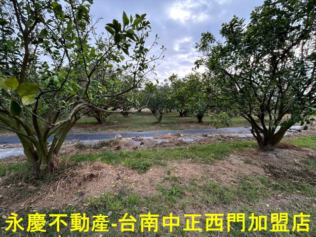 台南麻豆農地-9