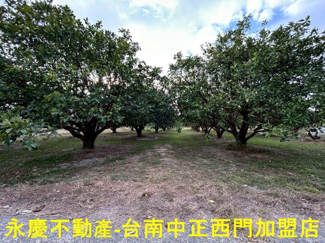 台南麻豆農地-2