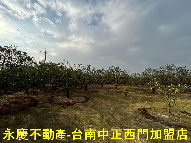 台南麻豆農地-1