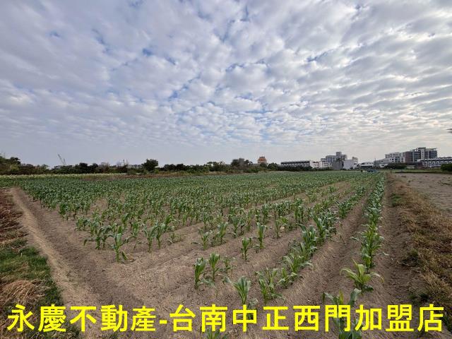 台南安南農地-3