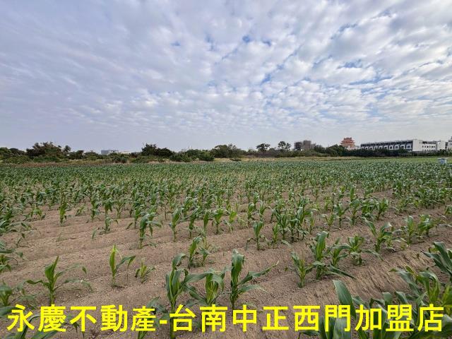台南安南農地-4