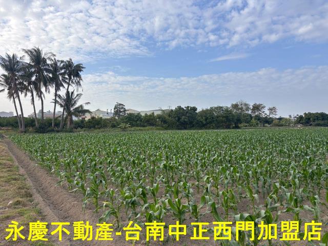 台南安南農地-5