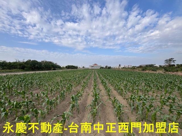 台南安南農地-6