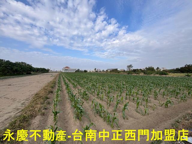台南安南農地-7
