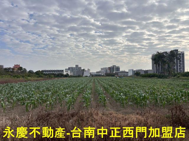 台南安南農地-8