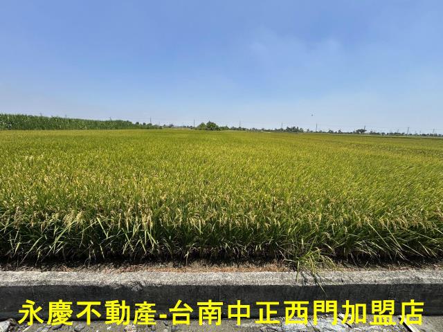 台南柳營農地-3