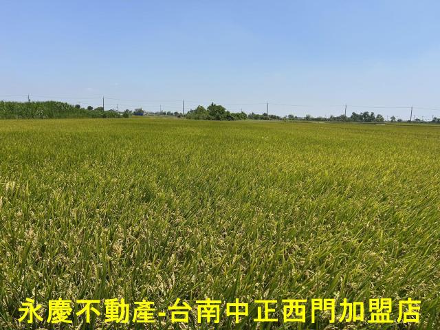 台南柳營農地-4